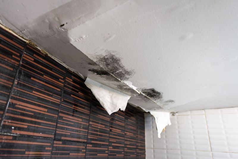 Attic Water Damage Repair in Santa Rosa, CA