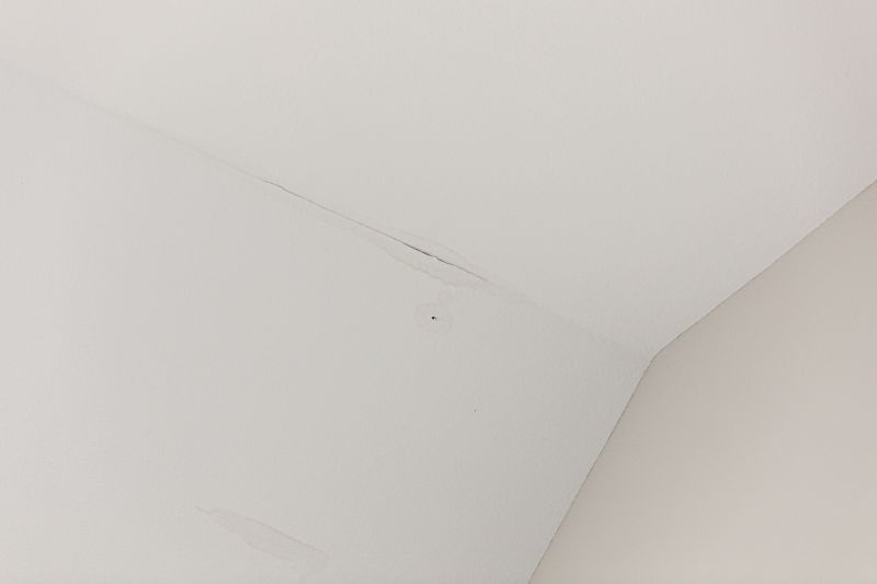 Attic Water Damage Repair in Denver, CO