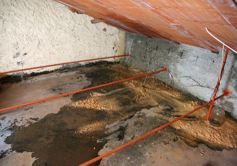 Ceiling Leak Repair Service in Denver County, CO