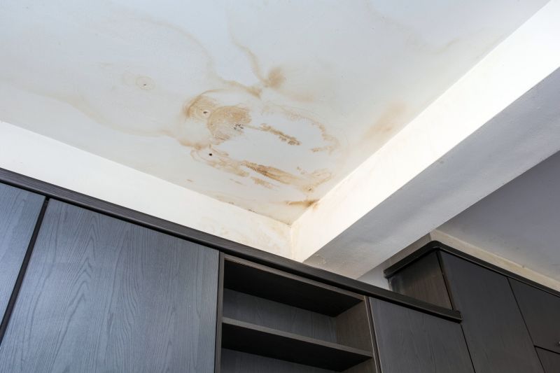 Crawl Space Remediation in Denver County, CO