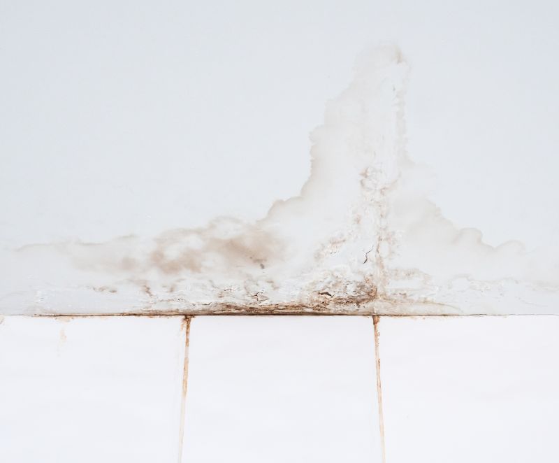 Water Damage Ceiling Repair in Littleton, CO
