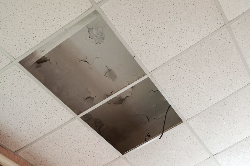 Water Damage Ceiling Repair in Denver, CO